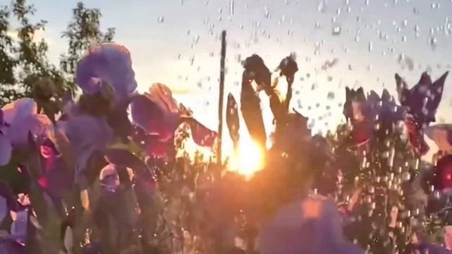 ВИДЕО МЕДИТАЦИЯ | РЕЛАКСАЦИЯ | НАПОЛНЕНИЕ ЭНЕРГИЕЙ И РЕСУРСОМ смотреть онлайн