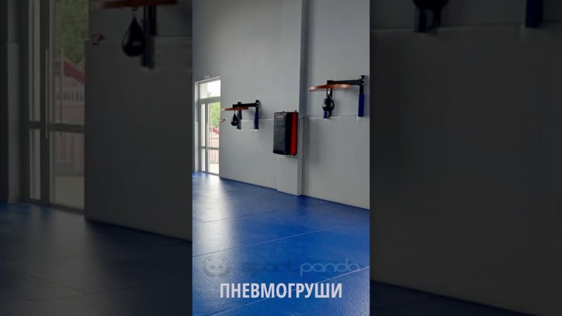 ЗАЛ ПОД КЛЮЧ/Южный вайб/#gym  #fit  #sports  #boxing