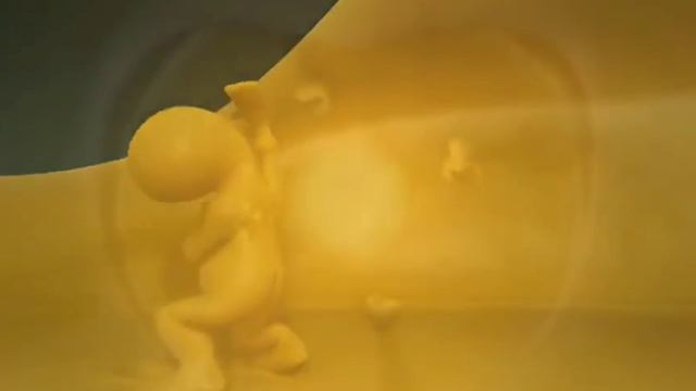 Геннадий Царегородцев "Сделай шаг" (авторская песня) смотреть онлайн