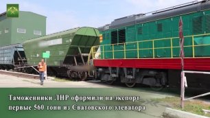 Таможенники ЛНР оформили на экспорт первые 560 тонн из Сватовского элеватора