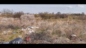 Как бесплатно получить землю. Выбор участка под садоводство 18 04 2019