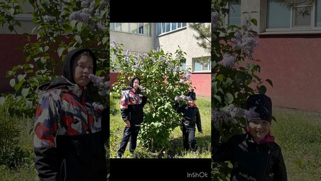 Коррекция бровей/Фотосессия/Распаковка МегаПластик смотреть онлайн