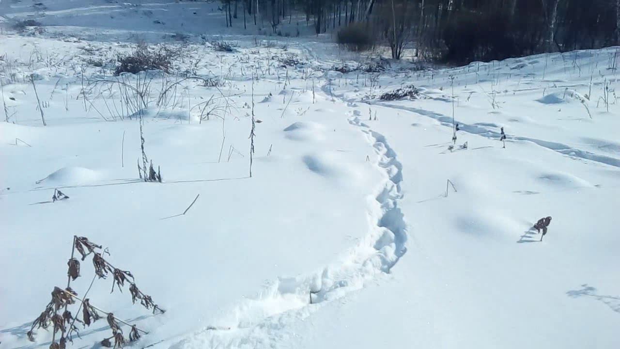 Тренировочная стрельба.