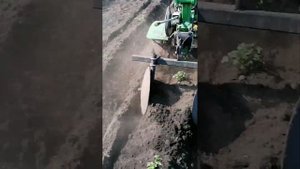 Дисковый окучник в работе. 2023г