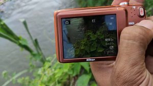 jual kamera Nikon Coolpix s3500