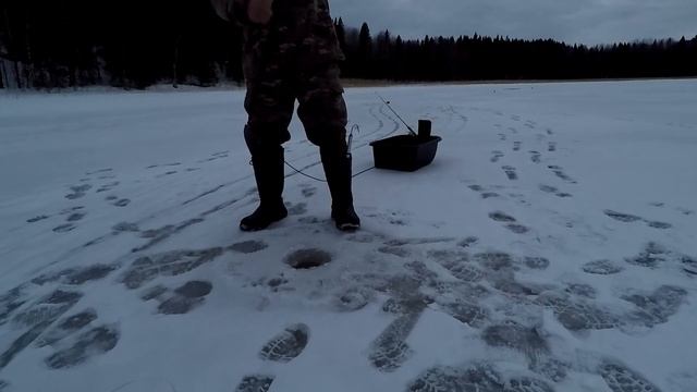 рыбалка на озере Янисъярви,на жерлицы
