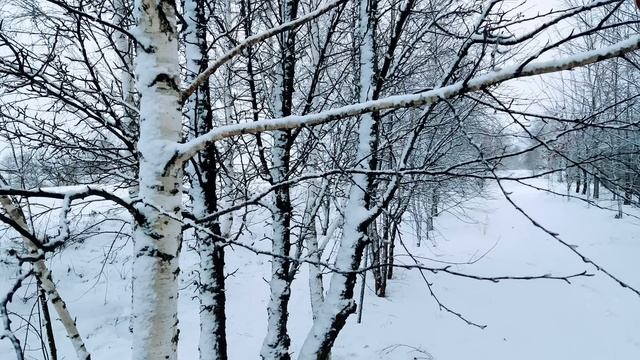 17 февраля. ДЕНЬ НИКОЛЫ.Народные приметы и традиции