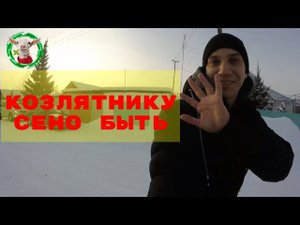 Козлятнику сено быть