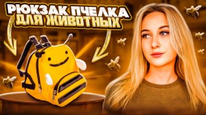 РЮКЗАК ПЧЁЛКА ДЛЯ ЖИВОТНЫХ | Аксессуары  для животных