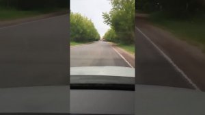 Рязанская область, Шиловский район, село Песочня