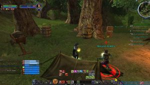 The Lord of the Rings Online™ Прохождение игры за менестреля #10