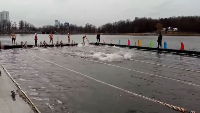 Минск Кубок по зимнему плаванию март 2017 смотреть онлайн