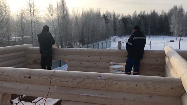 Сборка дома из оцилиндрованного бревна - Артель «Витославица»