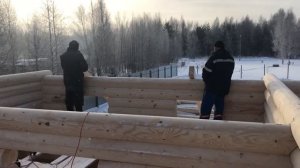 Сборка дома из оцилиндрованного бревна - Артель «Витославица»