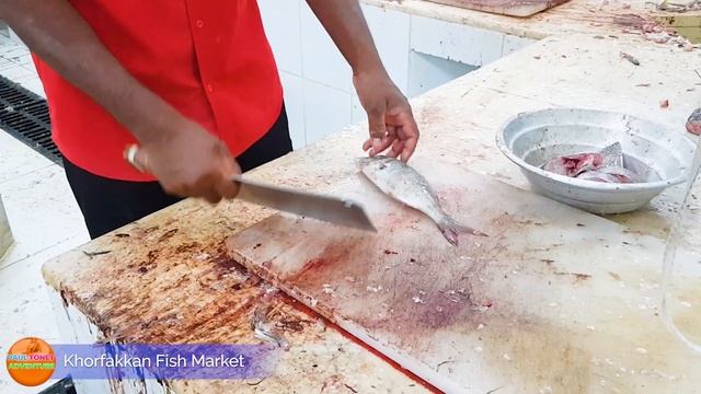 Khorfakkan Fish Market Sharjah смотреть онлайн