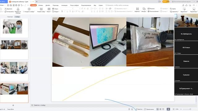 Технология доения кобыл и переработки кобыльего молока