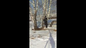 практика духи леса. Дух земли, дух ветра