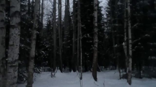 [Лесные Тропы]: ПВД - р.Извер, болота, тайга, костерок, чаек смотреть онлайн