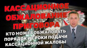 Кассационное обжалование приговора по уголовному делу. Виды кассации. Порядок и сроки обжалования.