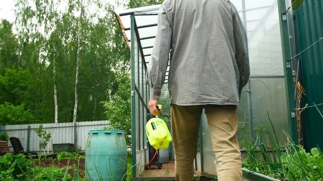 Почему опадают цветы у перца? смотреть онлайн