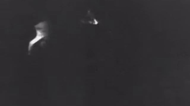 Косуля и лиса в лесу ночью. Пульсар Хелион / Roe deer and fox in the forest at night. Pulsar Heloin смотреть онлайн