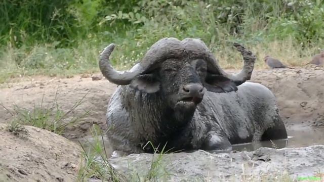 Оооооочень интересно!!!Держи в куре!!!!!!!