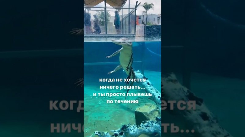 КОГДА ПРОСТО ПЛЫВЕШЬ ПО ТЕЧЕНИЮ  #shorts