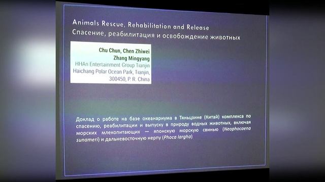 Обсуждение проблематики содержания морских млекопитающих на международных конференциях