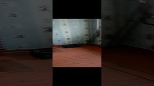VID_20231020_113821.mp4