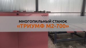 Многопильный станок Триумф М2-700 в работе 2