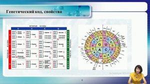 Лекция 5. Транскрипция. Биосинтез белка.
