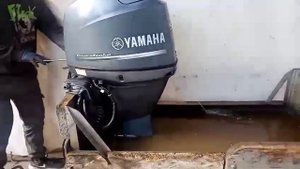 Yamaha F50 EFI. Запуск двигателя.