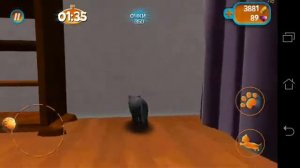 Сумасшедшие баги на первых локациях! Cat Simulator / Симулятор Кошки 2015