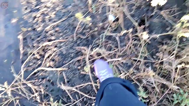 ферма, озеро, заброшки смотреть онлайн