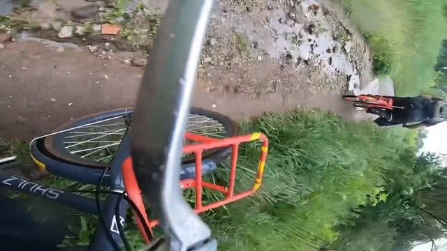 365 дней челлендж - я в деле!