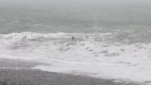 Шторм, снег в Сочи. Мужик полез купаться. Что с ним случилось