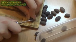 Как вырастить лотос из семян
