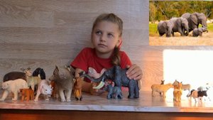Изучаем диких животных с детьми. Слон. Интересные факты о слонах