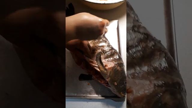 Карп фаршированный часть 2