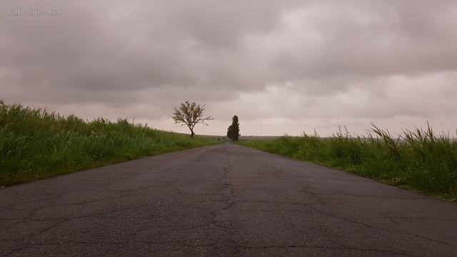 Relaxing Sounds of Light Rain and Soothing Wind Blowing Through Vegetation on an Abandoned Road - 4 смотреть онлайн