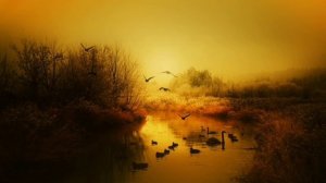 Восточный восход солнца 6 гц медитация динауральных волн, музыка для отдыха, звуки природы