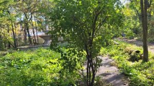 Владивосток. Гуляем по садгороду.