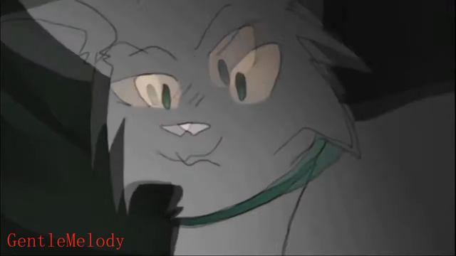 Песня коты воители они смеялись мне вслед смотреть онлайн