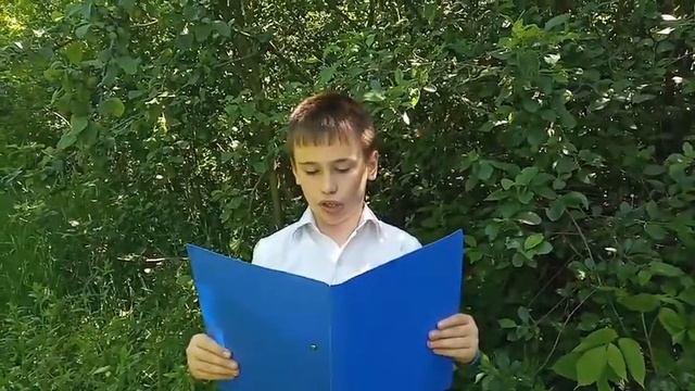 Кобрин Артём, 3 класс смотреть онлайн