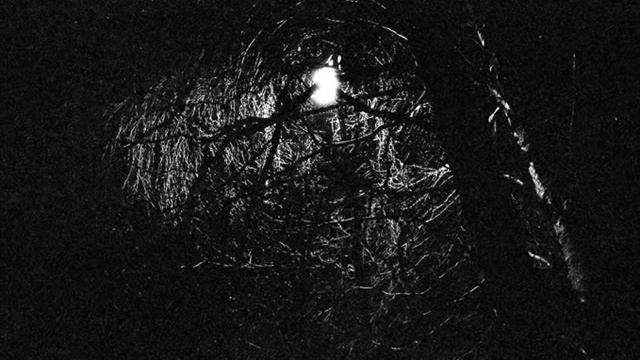 Krasnogorsk - Cave inside the whale смотреть онлайн