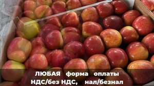 Сорт яблок Бребурн