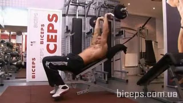 Как накачать трицепс. Французский жим со штангой лежа на накл. скамье смотреть онлайн