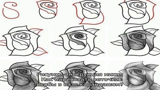 Рисуем вербу с детьми. Как нарисовать вербу ветку и дерево карандашом и гуашью поэтапно? смотреть онлайн