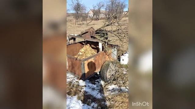 Шнэковый измельчитель веток с карданным приводом от мотоблока, Очередной выезд по щепу. смотреть онлайн