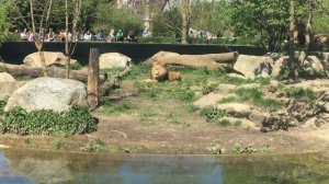 Зоопарк в Мюнхене. Tierpark Hellabrunn